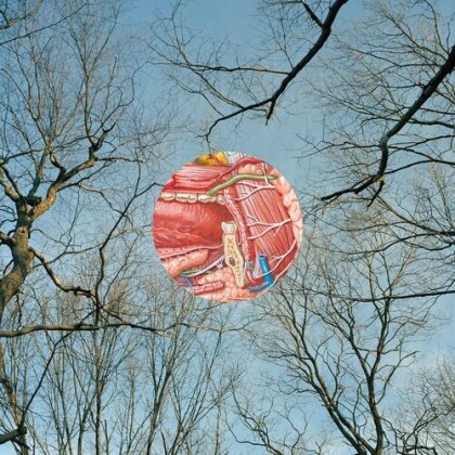 They Might Be Giants - Glean (2025 Reissue, Colored, LP)