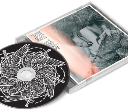Author & Punisher - Nocturnal Birding