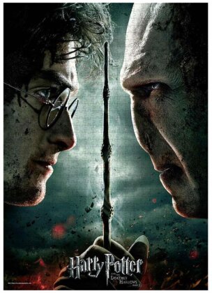 Harry Potter Puzzle Harry vs Voldemort