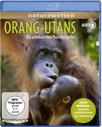 Orang-Utans - Die unbekannten Menschenaffen (plus Special: 60 Jahre Expeditionen ins Tierreich) (2025)