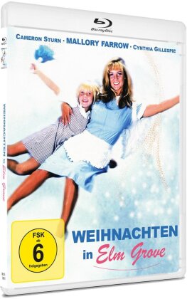 Weihnachten in Elm Grove (1999)