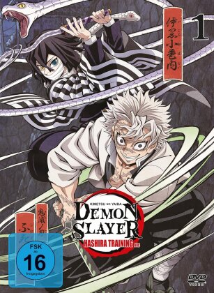 Demon Slayer: Kimetsu no Yaiba - Hashira Training Arc - Staffel 4 - Vol. 1