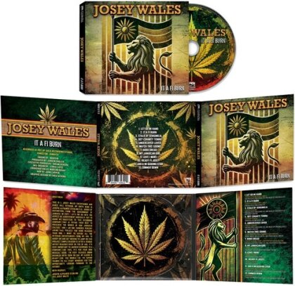 Josie Wales - It A Fi Burn