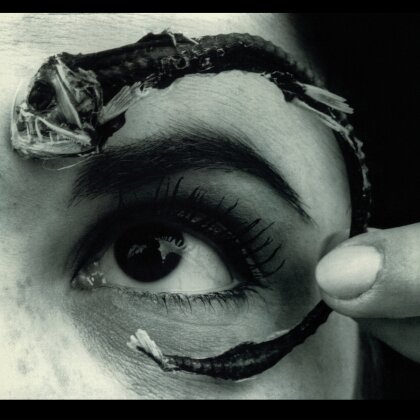 Mr. Bungle (Mike Patton) - Disco Volante (2025 Reissue, Rhino, Translucent Light Blue Vinyl, 2 LPs)