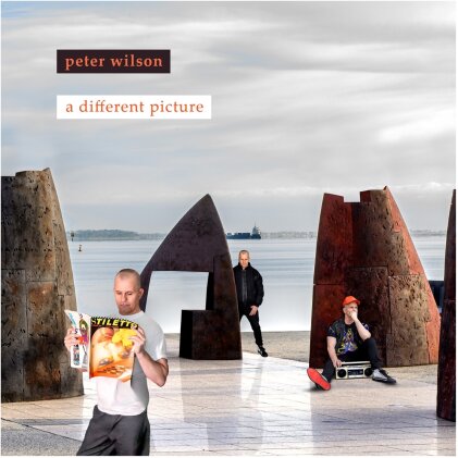 Peter Wilson - A Different Picture