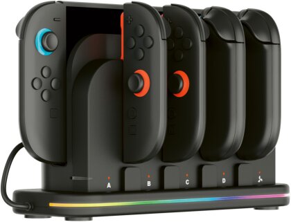 RGB-Multicharge Docking Station [NSW2]