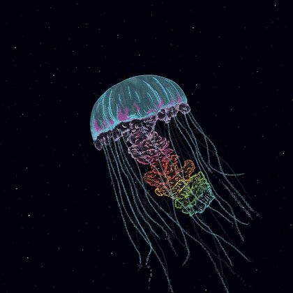 The Drowning World - Passive Margins (12" Maxi)