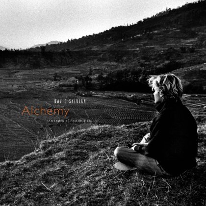 David Sylvian (Japan) - Alchemy: An Index Of Possibilities (2025 Reissue, Gold Opaque Vinyl, LP)