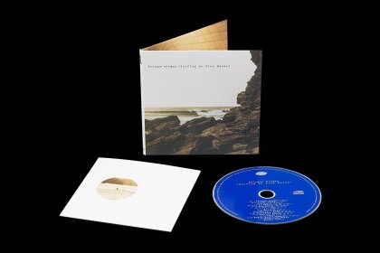 Aphex Twin - Polygon Window - Surfing On Sine Waves (2025 Reissue, Warp)