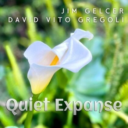 David Vito Gregoli & Jim Gelcer - Quiet Expanse (ECOPAK - BIODEGRADABLE PKG)