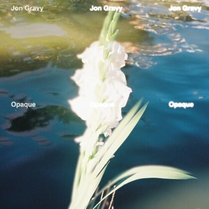 Jon Gravy - Opaque (LP)