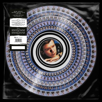 Rick Astley - Never Gonna Give You Up (BMG Rights Management, Zoetrope Vinyl, 12" Maxi)