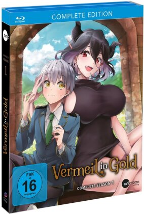 Vermeil in Gold - Staffel 1 (Complete Edition, 3 Blu-rays)
