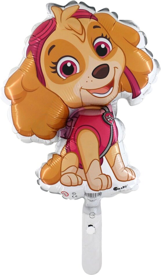 Paw Patrol Mini Folienballon