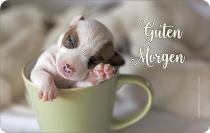 Guten Morgen BRETTCHEN