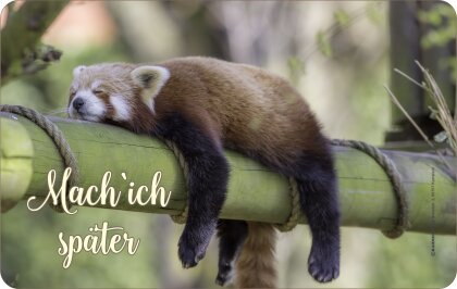 Mach ich später BRETTCHEN