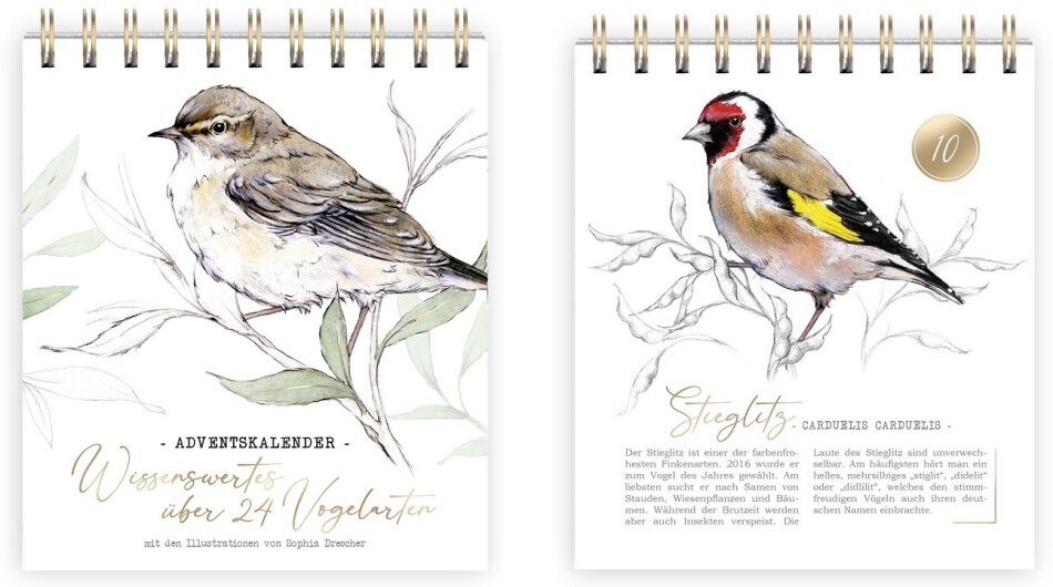 Adventskalender Vogelarten