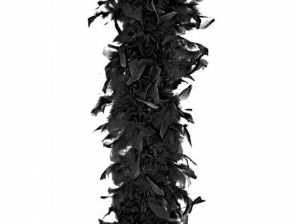 Ferderboa schwarz