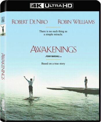 Awakenings (1990)