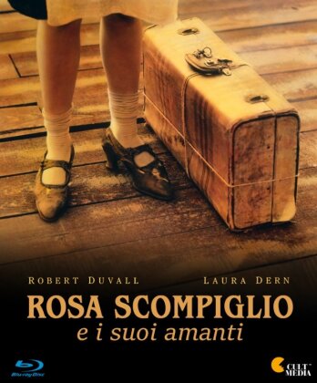 Rosa Scompiglio e i suoi amanti (1991)