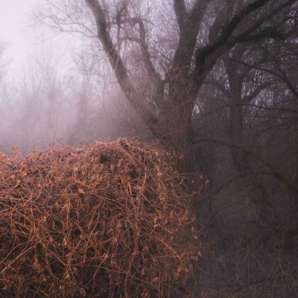 The Devil's Trade - Nincs Szennyezetlen Szep (LP)