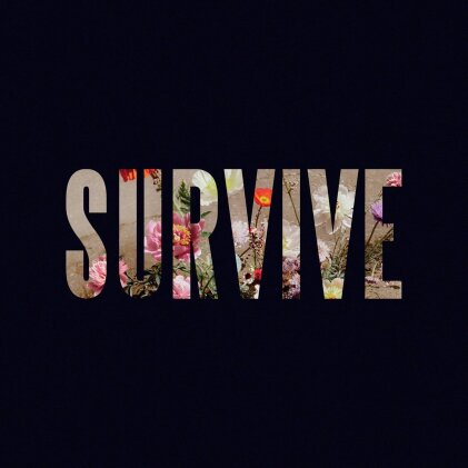Lewis Capaldi - Survive (EP) (Clear Vinyl, 12" Maxi)