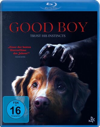 Good Boy - Trust his instincts (2025)