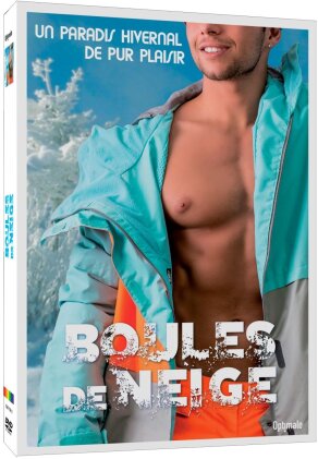 Boules de neige - Un paradis hivernal de pur plaisir