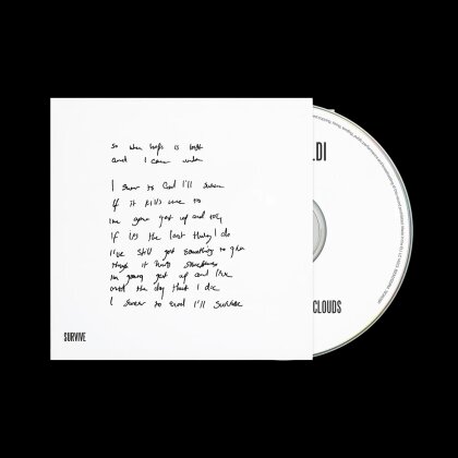 Lewis Capaldi - Survive (#3, Lyrics Version)