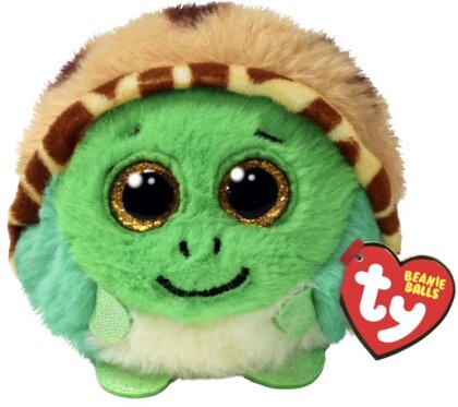 Schildkr&ouml;te Cruiser