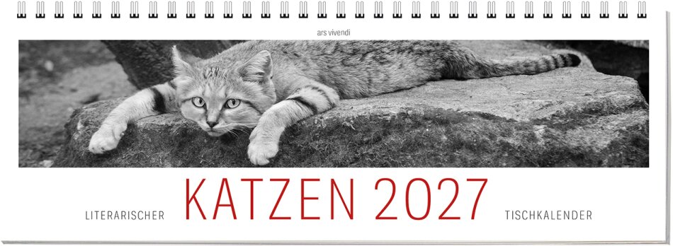 Tischkalender Katzen 2027