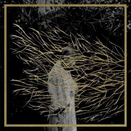 Forest Swords - Engravings (2025 Reissue)