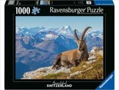 Steinbock im Toggenburg