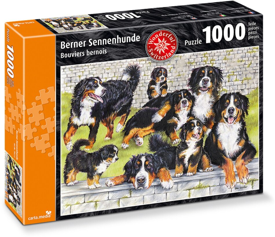 Berner Sennenhunde - Puzzle