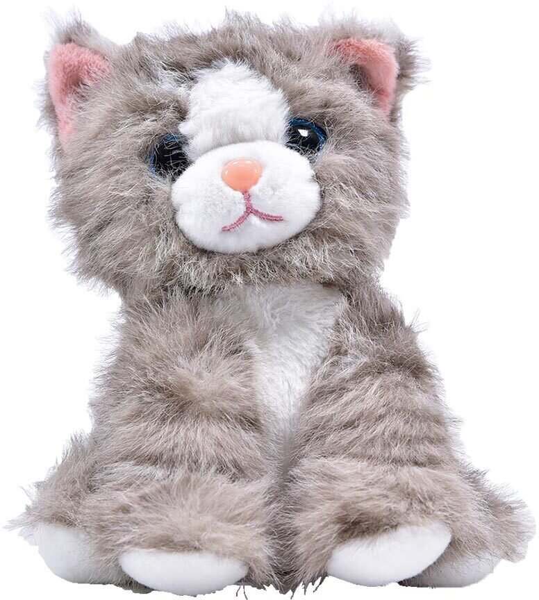 Laber Katze