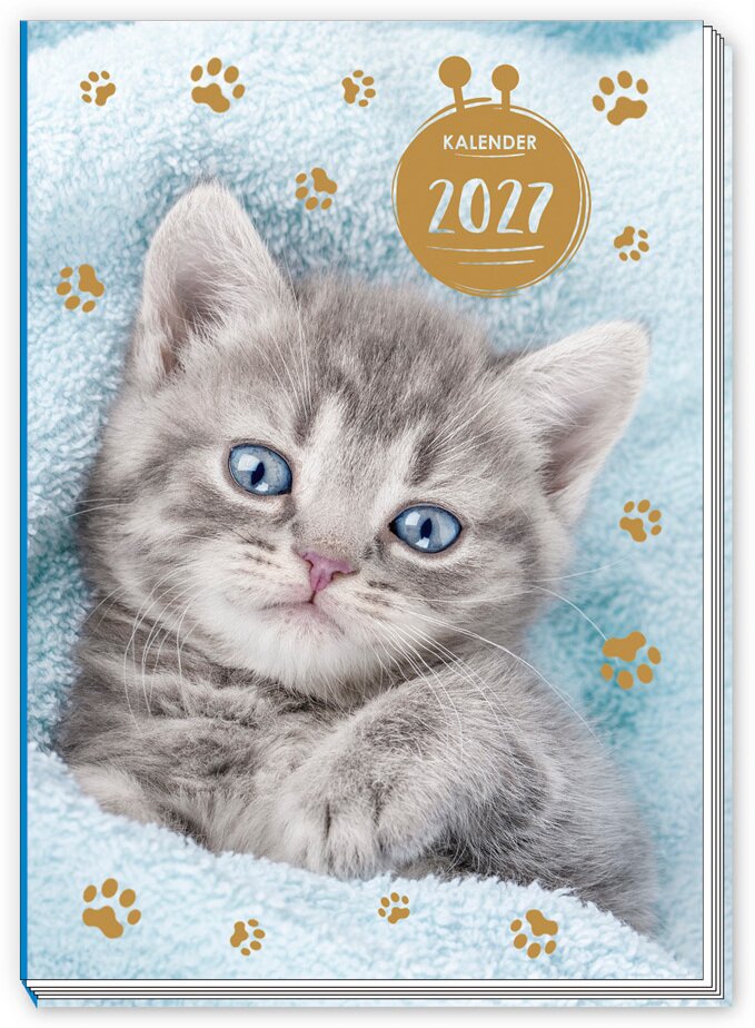 TRÖTSCH - Taschenkalender A7 Katze 2027