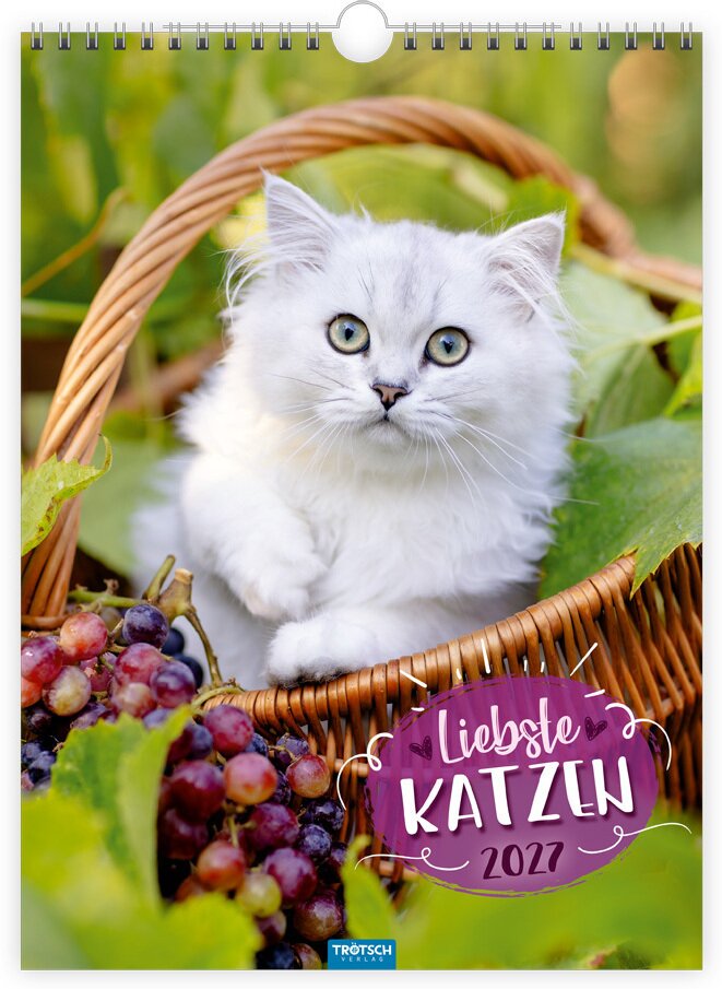 TRÖTSCH - Classickalender Liebste Katzen 2027