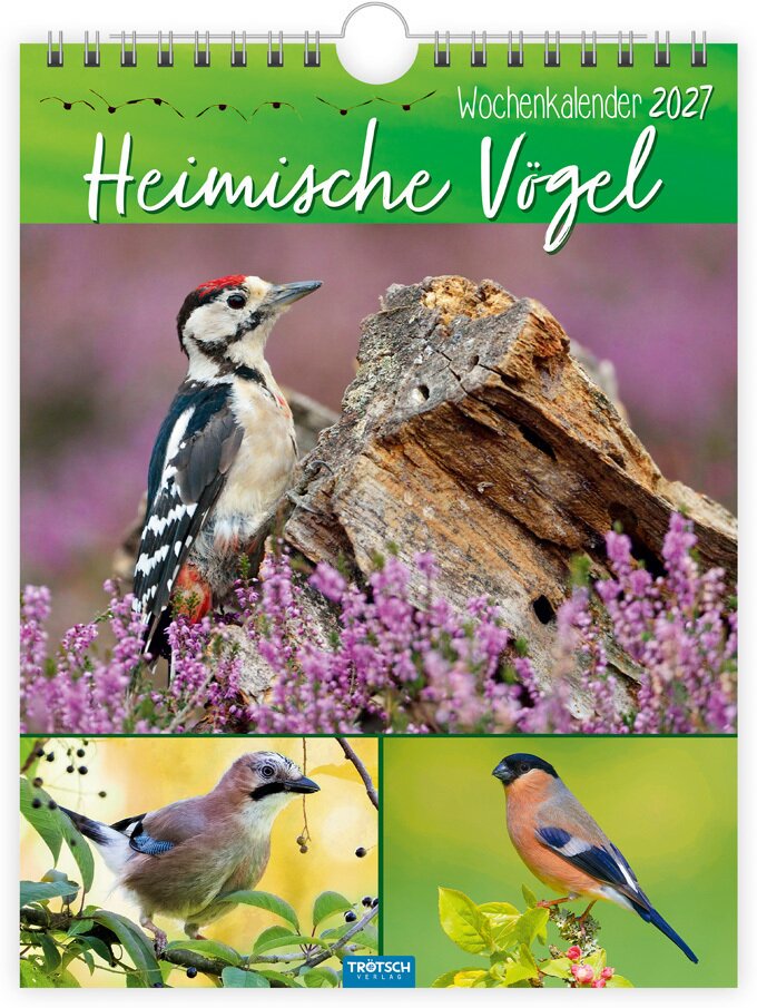 TRÖTSCH - Wochenkalender zum Hängen Heimische Vögel 2027
