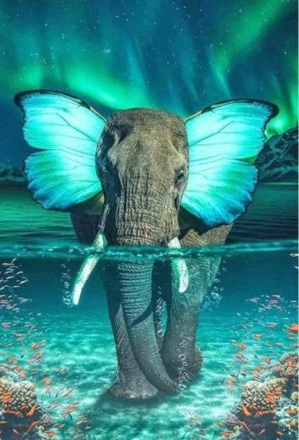 Diamond Painting Elephant 40x30 cm