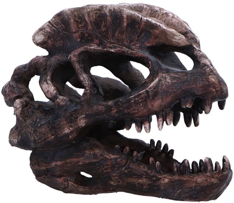 Dinosaurier Dilophosaurus Skelett