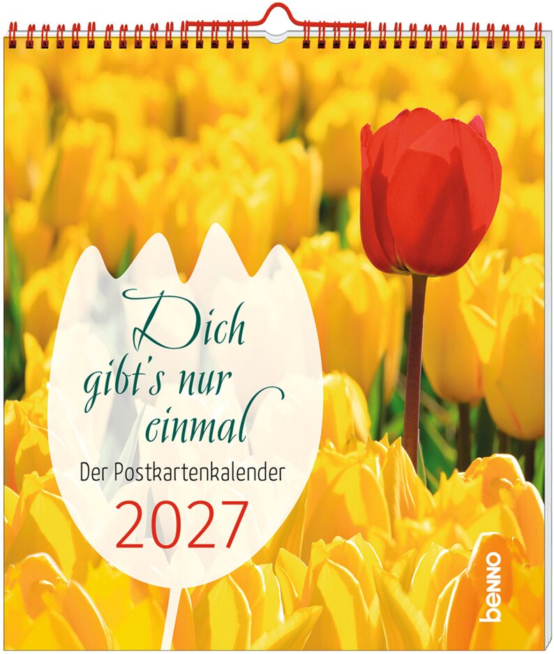 Dich gibt's nur einmal 2027