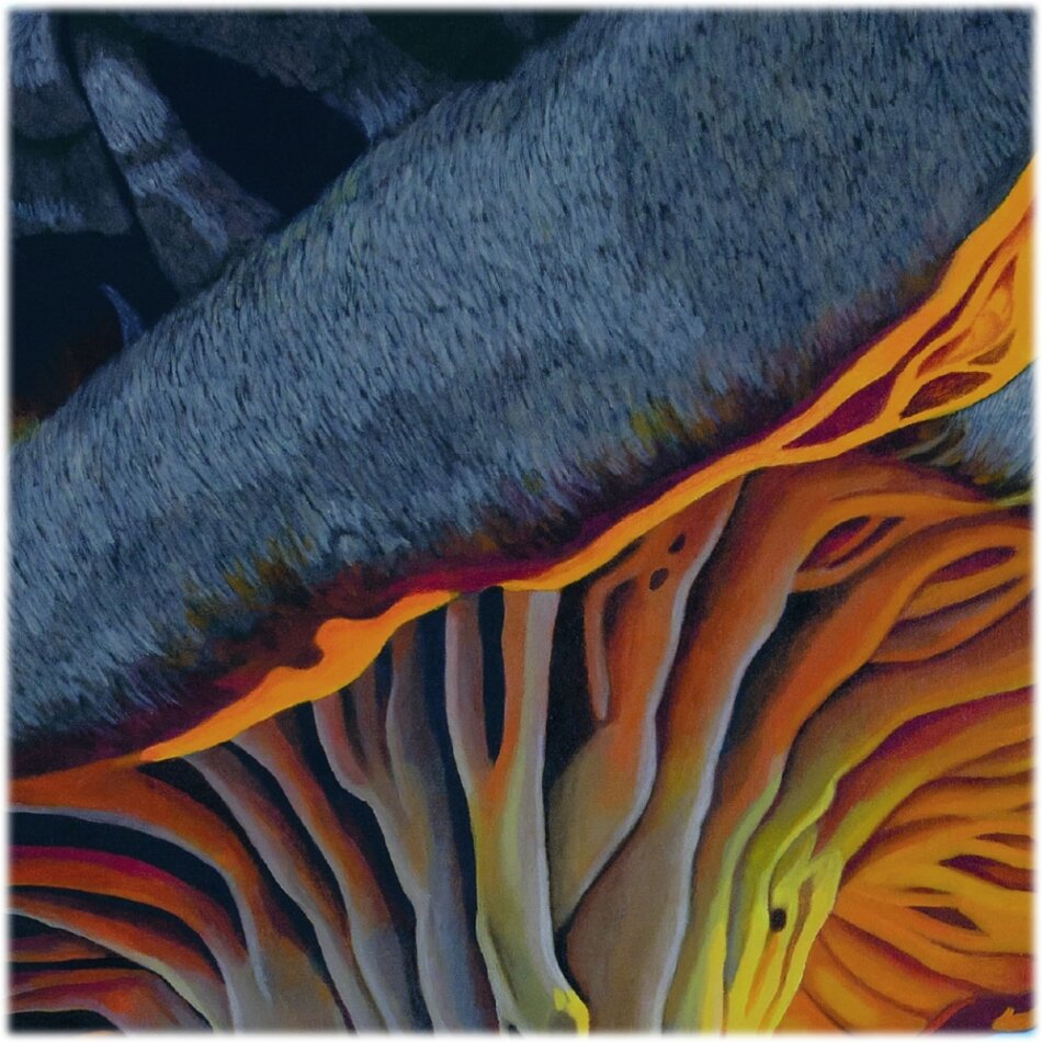 Tout Bleu - You Are Tree