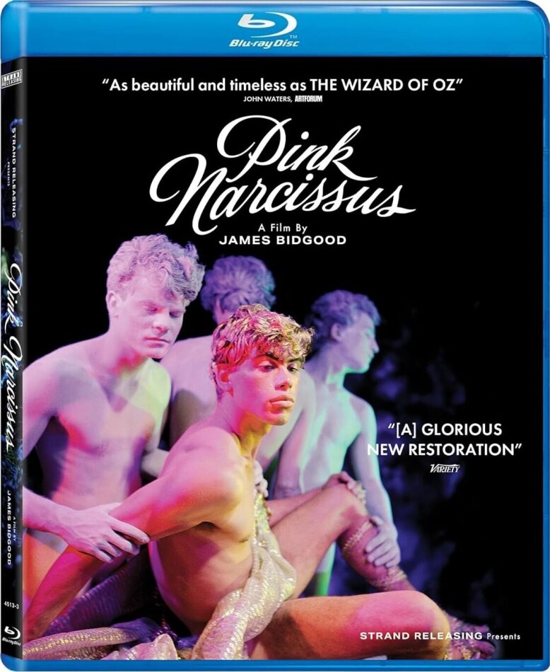 Pink Narcissus (1971) Restored