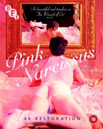 Pink Narcissus (1971) (Restored)