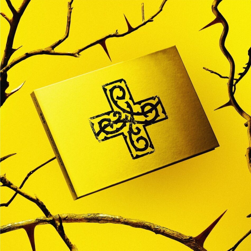 Tomorrow X Together (TXT) (K-Pop) - 7TH YEAR: A Moment of Stillness in the Thorns HUNGER Version