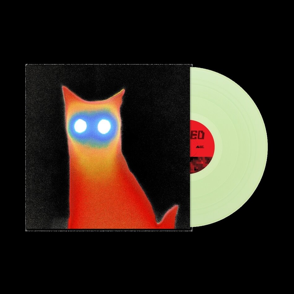Basement - Wired Coke Bottle Clear Vinyl, LP