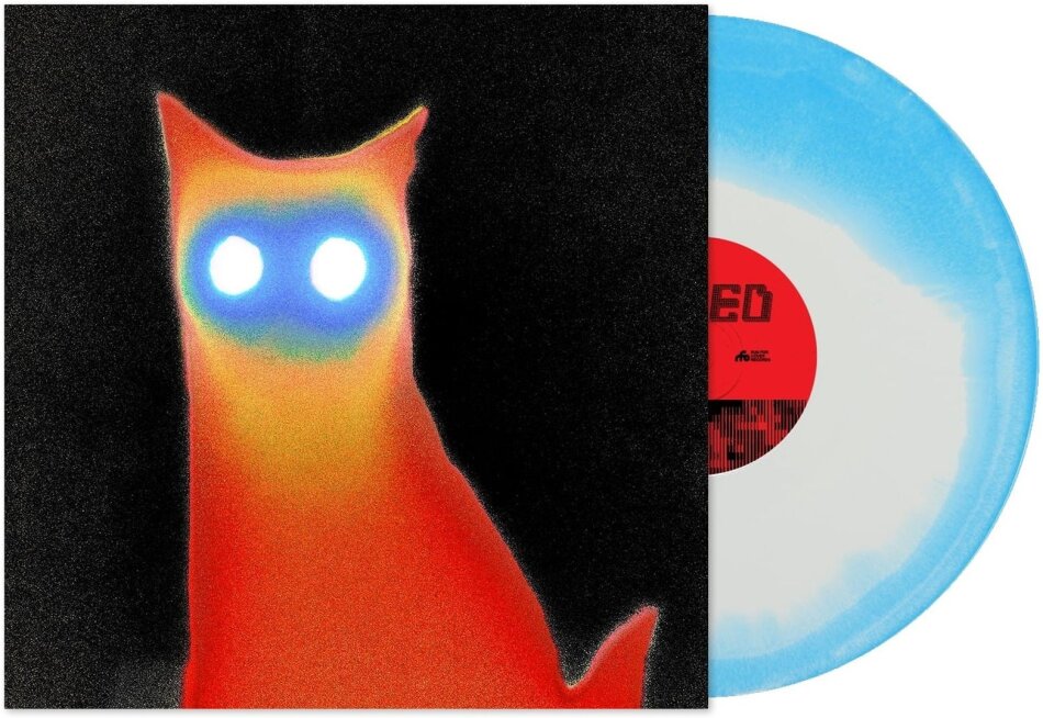 Basement - Wired First Run Club Edition, Wired Swirl Vinyl, LP
