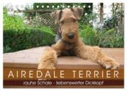 Airedale Terrier (Tischkalender 2027 DIN A5 quer) - CALVENDO Monatskalender