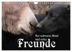 Der schwarze Hund und seine Freunde (Wandkalender 2027 DIN A4 quer) - CALVENDO Monatskalender