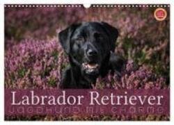 Labrador Retriever - Jagdhund mit Charme (Wandkalender 2027 DIN A3 quer), CALVENDO Monatskalender